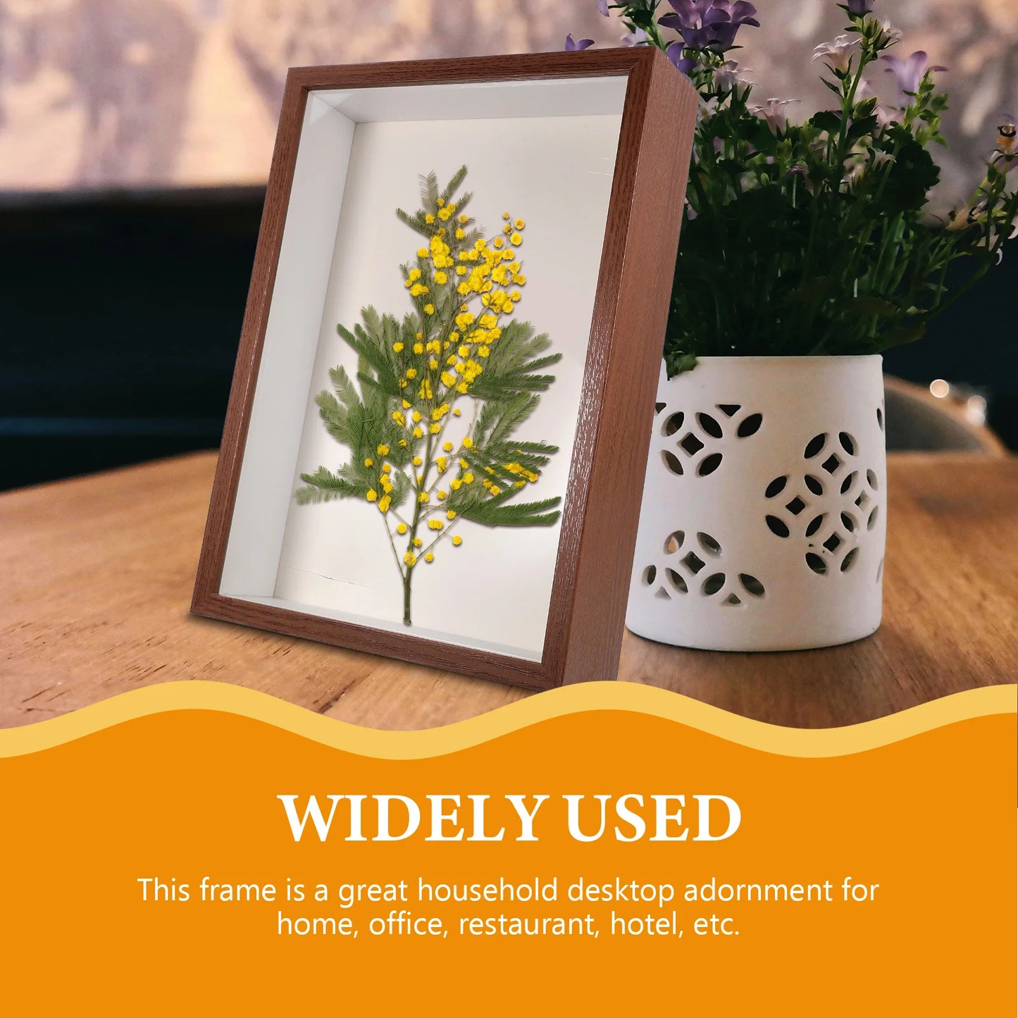Dried Flower Photo Frame 10 Inch Walnut Wood 5cm Hollow Display Stand Home Decor Artistic Plants Picture Frame Holder Decor