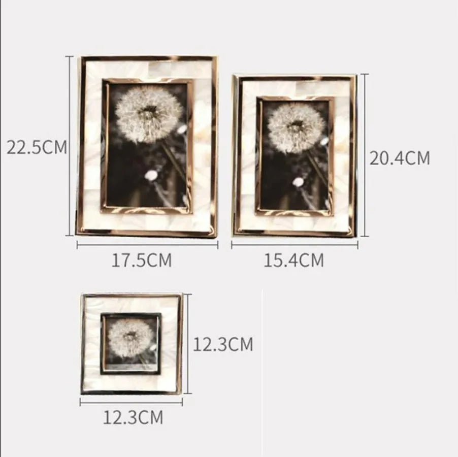 Golden Alloy Photo Frame Natural Shell Material Framed Family Portrait Nightstand Desk Decoration 4/6/7 Inch Picture Frames