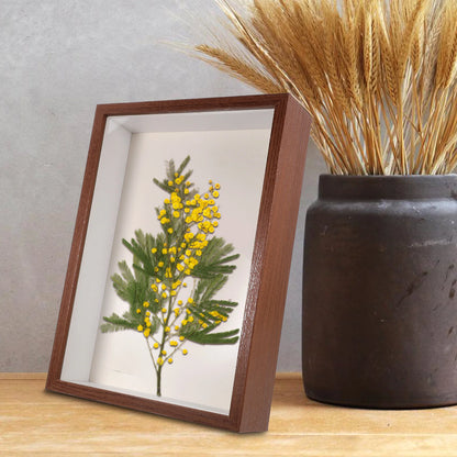 Dried Flower Photo Frame 10 Inch Walnut Wood 5cm Hollow Display Stand Home Decor Artistic Plants Picture Frame Holder Decor