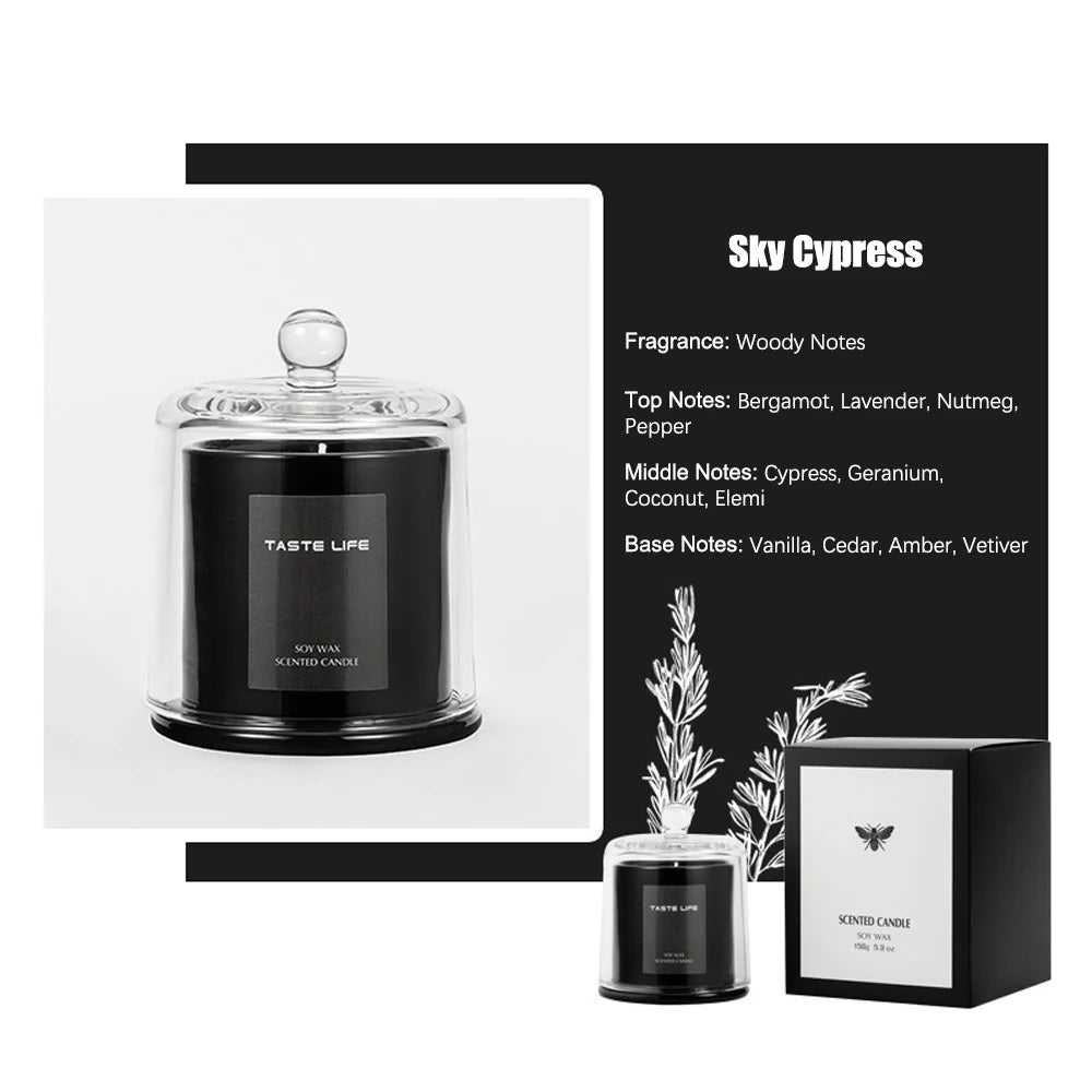 Voltsify Soy Wax Scented Candle Lime Basil and Citrus & Valley After the Rain & Sky Cypress