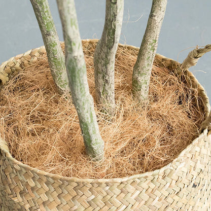 150/180cm/210cm Artificial Coconut Tree Fake Plants Large Green Plants Palm Tree Bonsai Decoration for Home Office Floor Potted