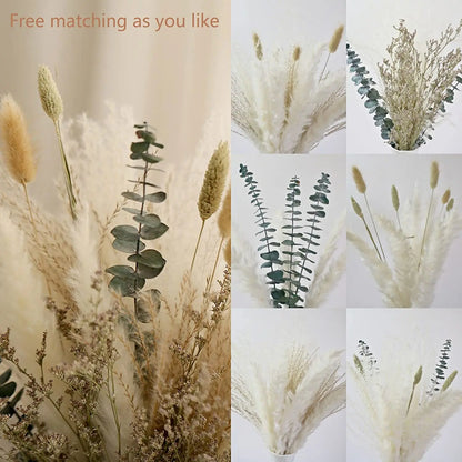 Natural Fluffy Pampas Grass Reed Dried Flower Bouquet Boho Style Home Office Coffee Table Wedding Flower Arrangement Layout
